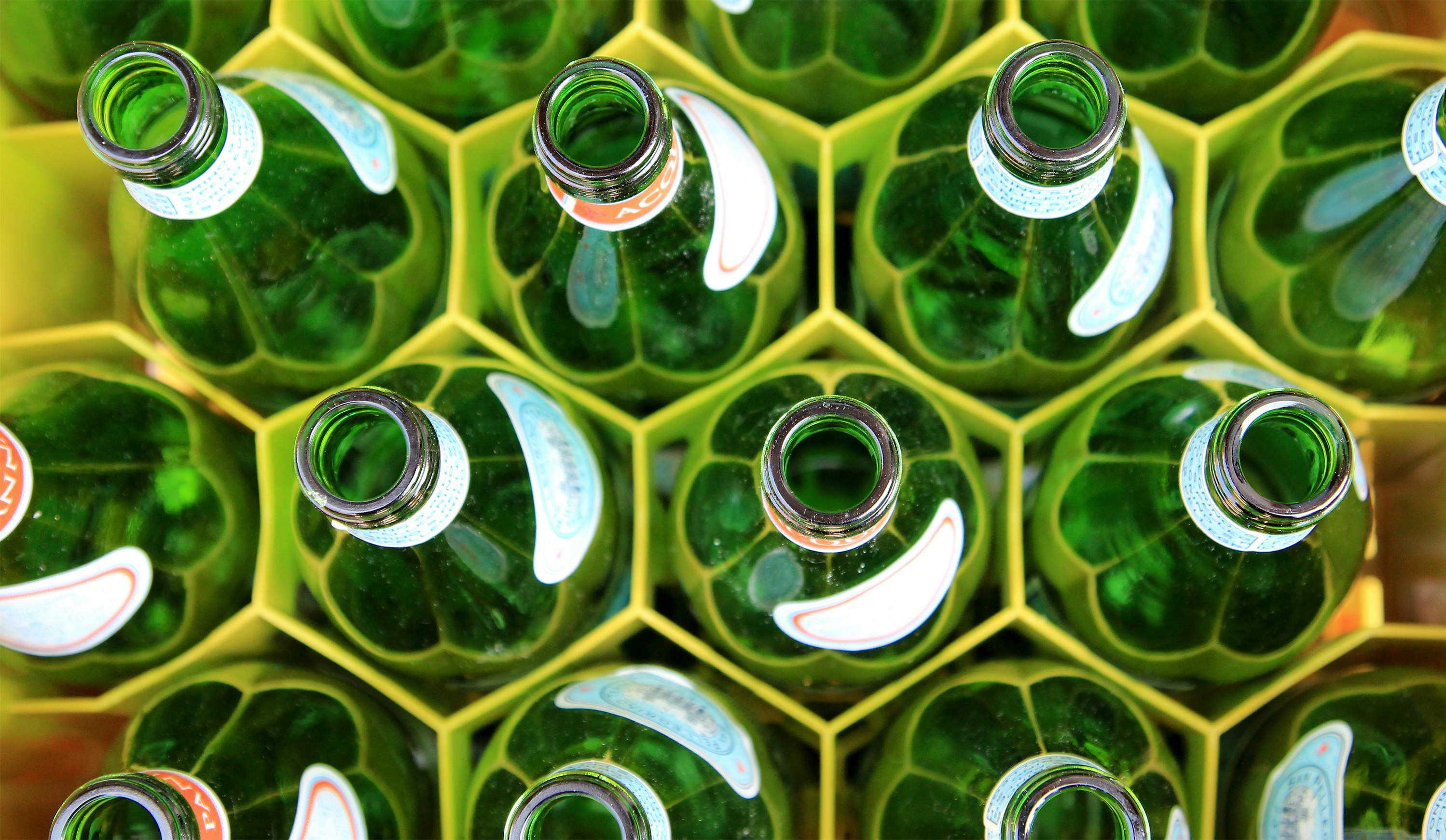 green bottle lot